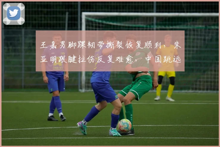 王嘉男脚踝韧带撕裂恢复顺利,朱亚明跟腱拉伤反复难愈,中国跳远双核回归时间表迥异